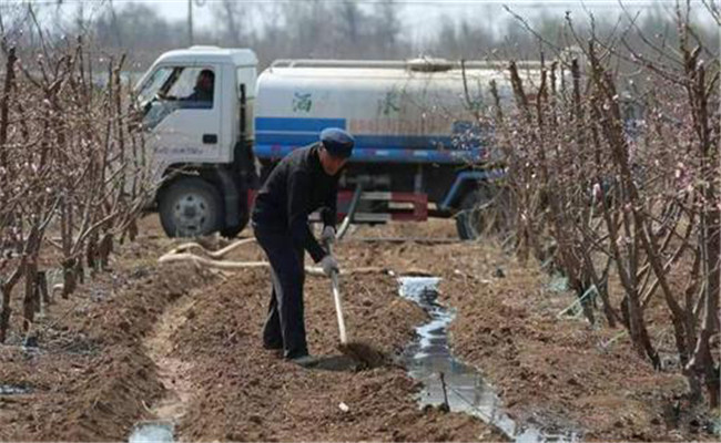 氯化铵属于什么肥料？氯化铵肥料的使用方法