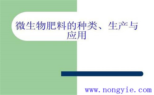 生物肥料如何分类 生物肥料施用技术及注意事项