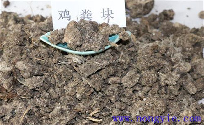 鸡粪适合哪些农作物 如何使用 鸡粪的发酵方法