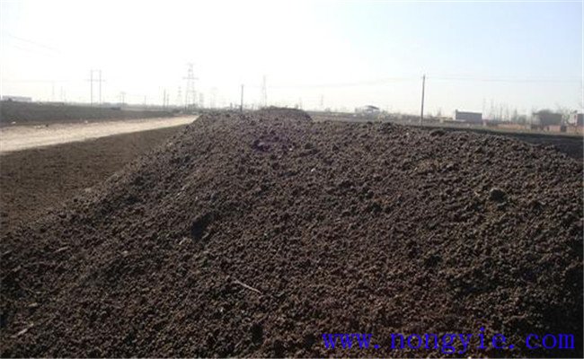 有机肥料是指什么肥料 有机肥与无机肥料的区别