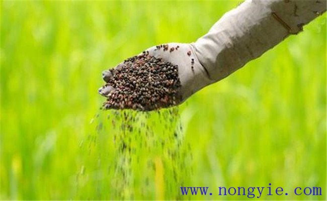 什么叫有机肥料 有机肥料与化学肥料的区别