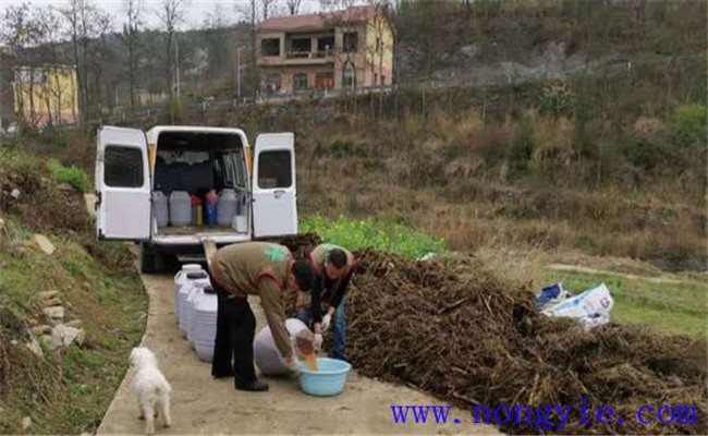 什么叫有机肥料 有机肥料与化学肥料的区别