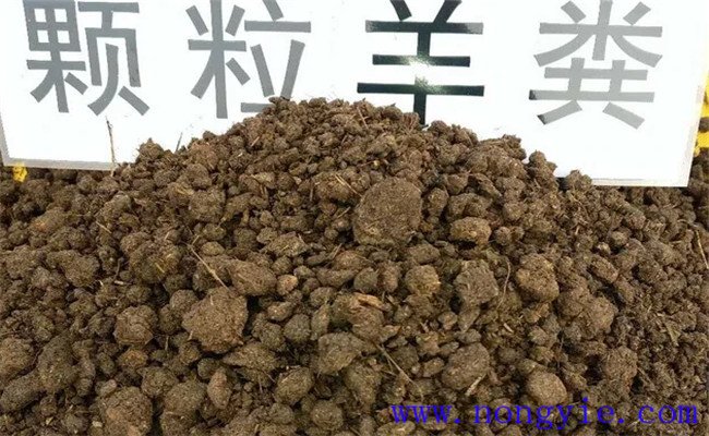 羊粪有机肥肥力如何 羊粪如何发酵 多久才能使用