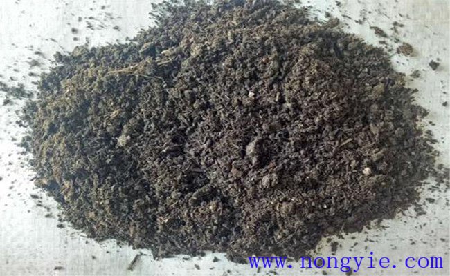 羊粪为什么不能直接做肥料 羊粪怎么发酵
