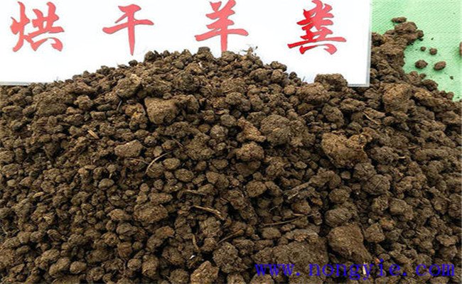 羊粪属于什么肥料 羊粪的使用方法 怎样施用
