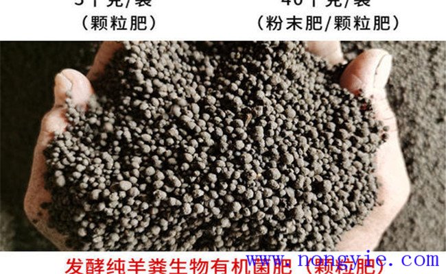 羊粪的用途与价值有哪些 羊粪怎么发酵成有机肥
