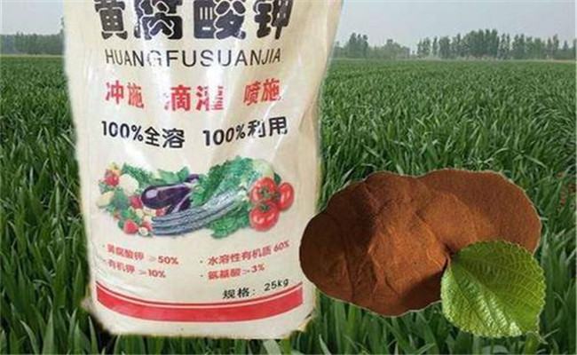 黄腐酸钾水溶肥的主要功效及其用法用量