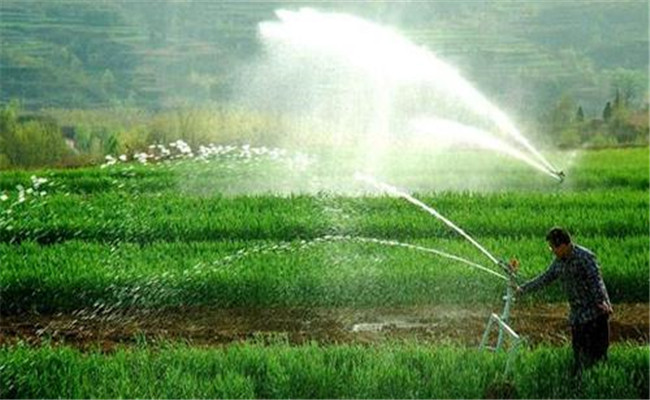 冲施水溶肥施用多久见效 水溶性肥与冲施肥区别