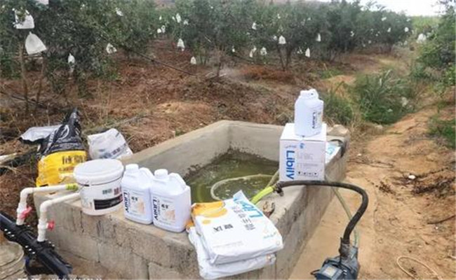 水溶肥该如何使用 目前水溶肥的市场前景如何