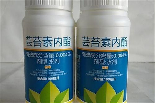 芸苔素如何分辨真假？芸苔素的使用方法