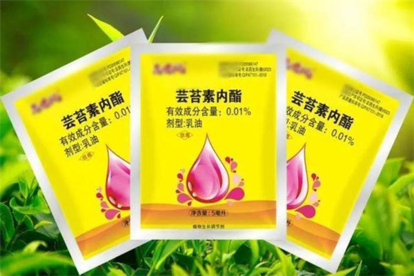 芸苔素如何分辨真假？芸苔素的使用方法