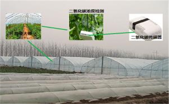 二氧化碳肥料的作用机理 二氧化碳的施肥方法