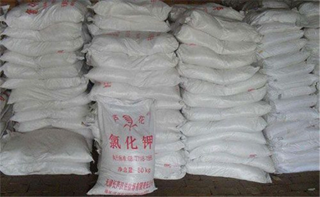 含氯的肥料有哪些？含氯肥料的施用三原则