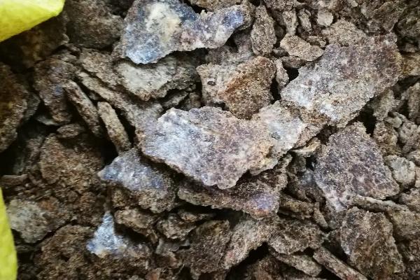 花生麸属于什么肥料 花生麸怎么发酵成肥料