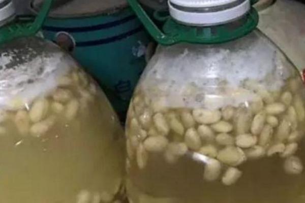 黄豆沤肥需要多长时间 黄豆沤肥怎么才能不臭