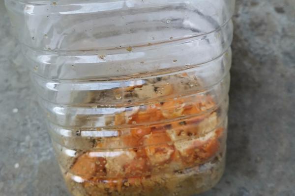 黄豆沤肥需要多长时间 黄豆沤肥怎么才能不臭