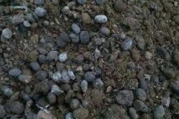 兔粪的用途与价值有哪些 兔粪最简单的发酵方法