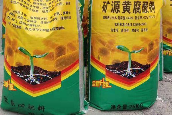黄腐酸钾属于什么肥料 黄腐酸钾的作用和效果