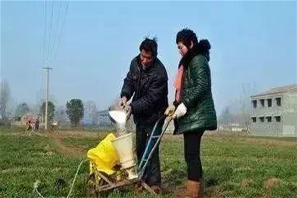 如何合理施用尿素？施用尿素的九大错误不要犯