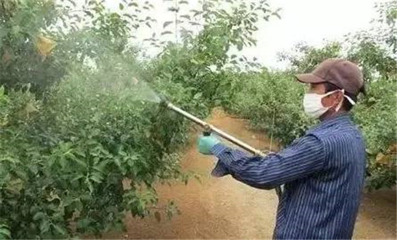 叶面施肥的优点和不足之处，叶面施肥注意事项