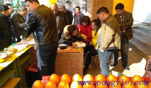 选购种子应该注意什么 购买种子注意事项