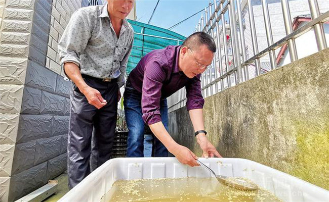 温汤浸种方法与时间，温汤浸种的温度是多少？