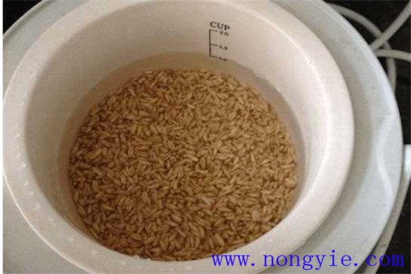 小麦种子播前泡水的作用 用热水还是冷水泡