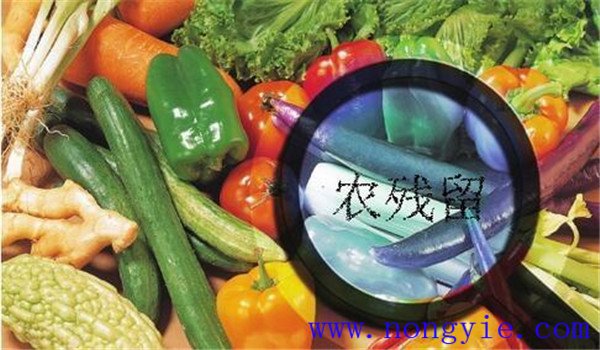 农药残留对人体的危害有哪些 如何减少农药残留