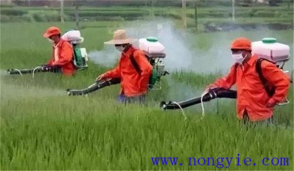 农药混配的好处 农药混合使用应注意哪些问题