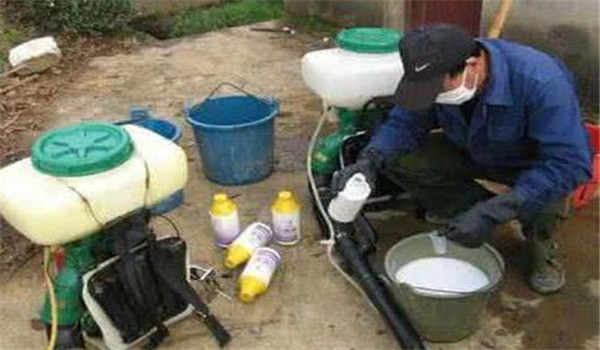 农药混用的原则 农药混合使用时应注意哪些问题