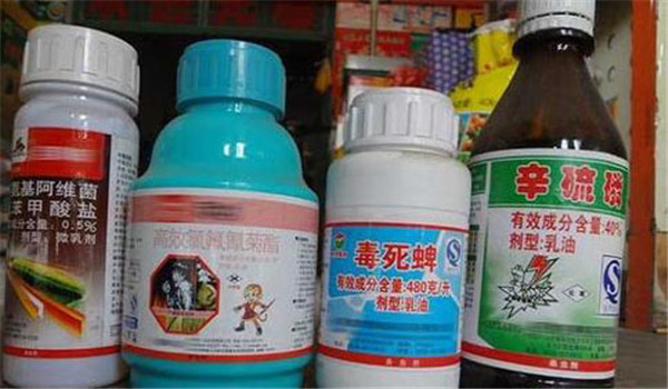 怎样合理使用农药 冬季农药使用注意事项有哪些