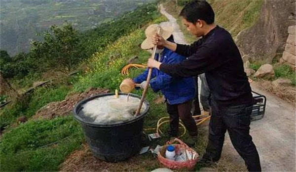 农药稀释倍数怎样换算 农药的稀释配制方法简介