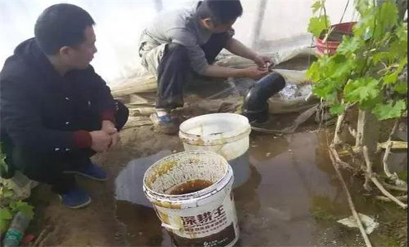 冲施肥怎么去冲施 冲施肥配方标准等相关问题