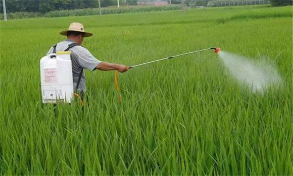 农药打了多久下雨有效、雨季施用农药注意事项