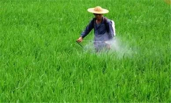 农药混用先后顺序要求 农药混用主要有哪些方式