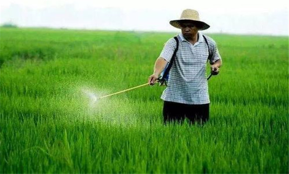 农药配制、使用及安全防护需要注意的问题