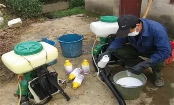 如何正确掌握农药的使用方法和技术要点