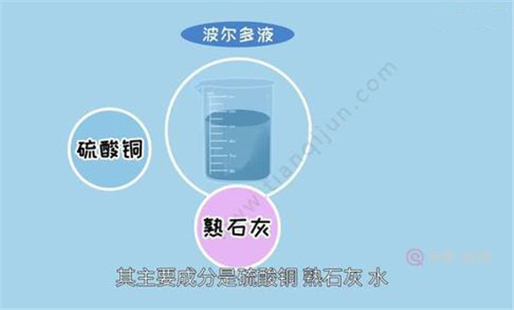 波尔多液的主要成分是什么 波尔多液的配制方法