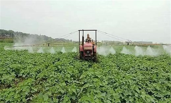 高油大豆种植如何使用农药