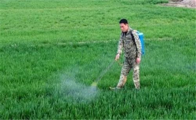 草铵膦除草剂使用方法 打草铵膦需要注意什么