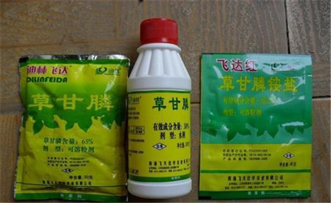 草铵膦对人有毒性吗？草铵膦和草甘膦的区别