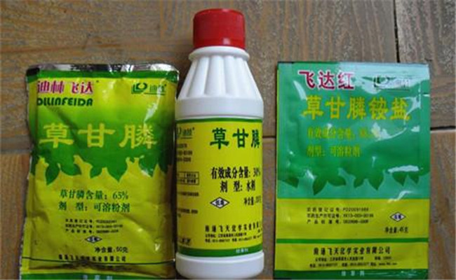 草甘膦除草剂使用范围，使用多久能生效？