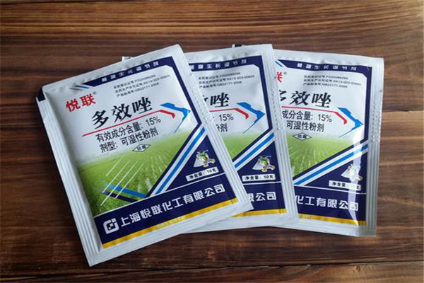 如何正确使用多效唑，用多了发生药害怎么办？