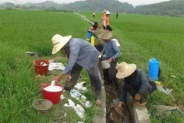 多效唑的作用有哪些 多效唑使用方法和注意事项