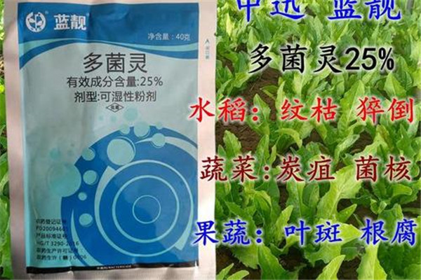 怎样用多菌灵给土壤消毒，多菌灵可防治哪些病