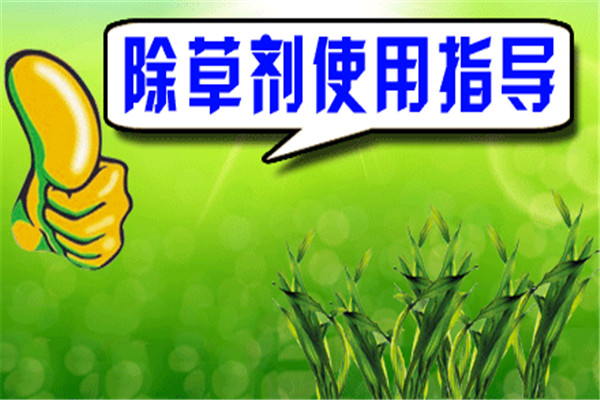 除草剂安全使用要点 发生除草剂药害如何补救？