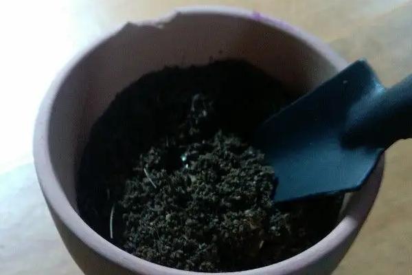 如何正确使用多菌灵 需注意什么，用多了会怎样