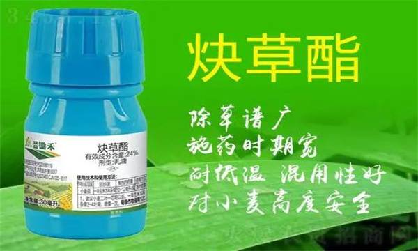 炔草酯防治哪些杂草 使用炔草酯需注意哪些问题