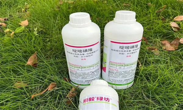 吡嘧磺隆的使用方法和注意事项