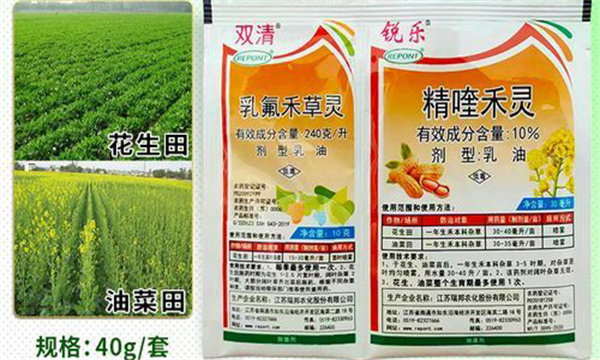 乳氟禾草灵的防治对象及其应用技术要点